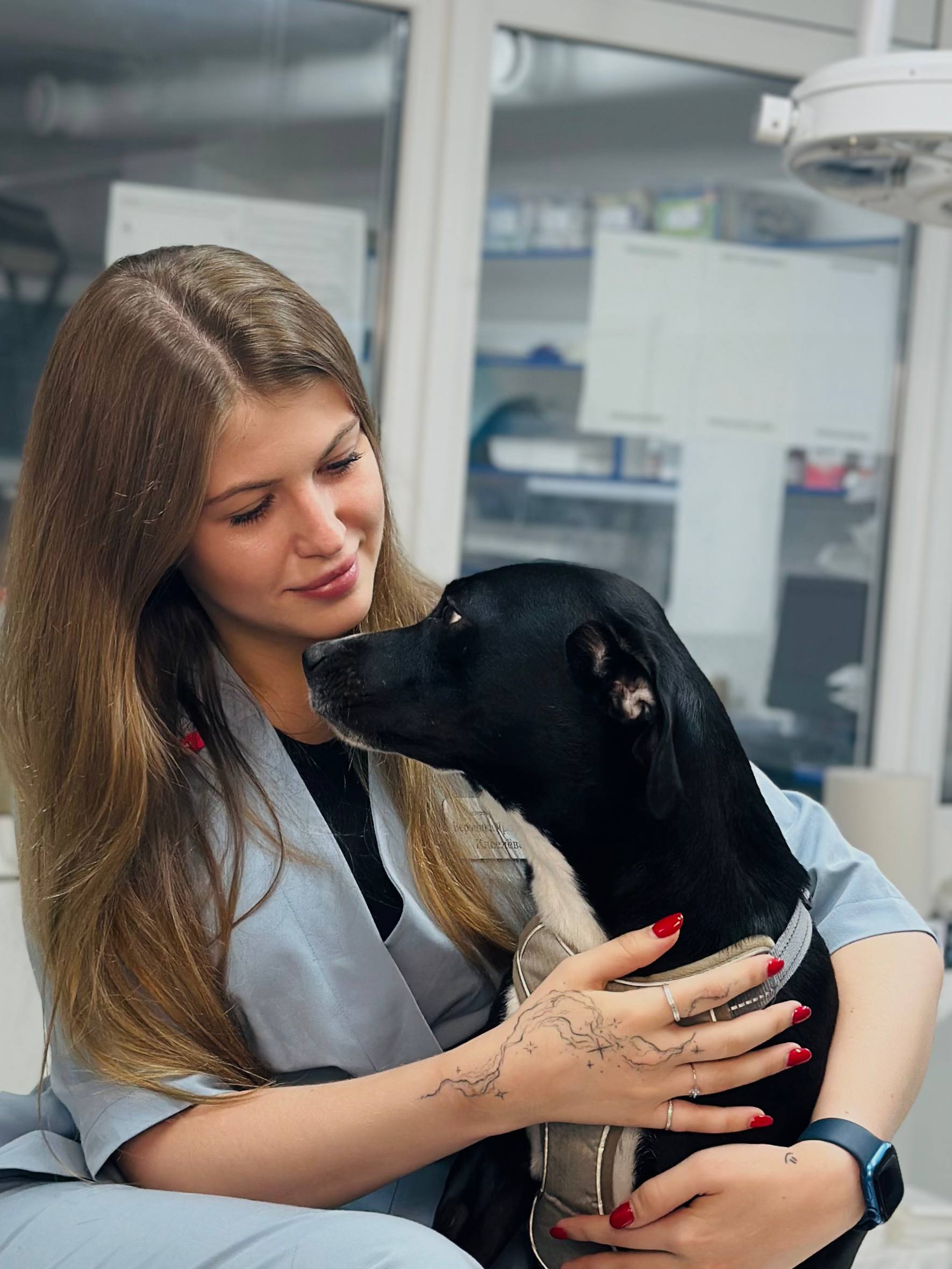 Ветеринар с собакой